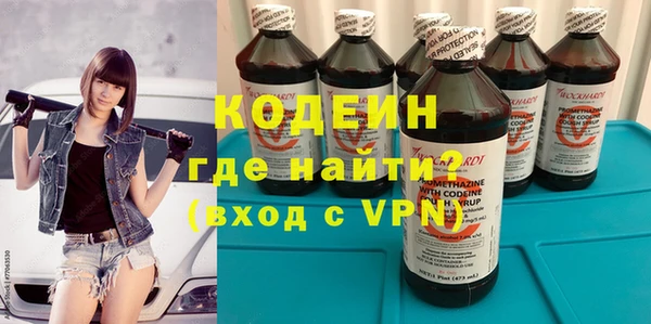 хмурый Арсеньев