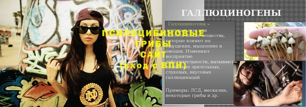хмурый Арсеньев