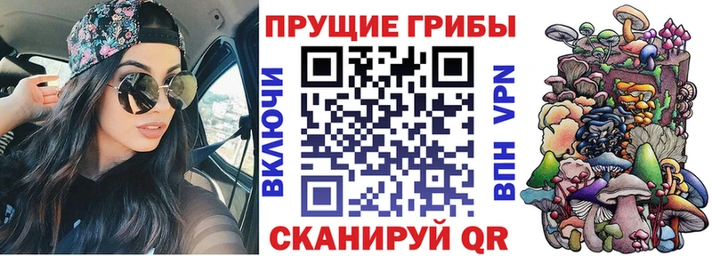 купить наркотик  Пушкино  Галлюциногенные грибы Magic Shrooms 