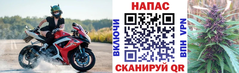 где купить наркотик  Пушкино  Канабис Bruce Banner 